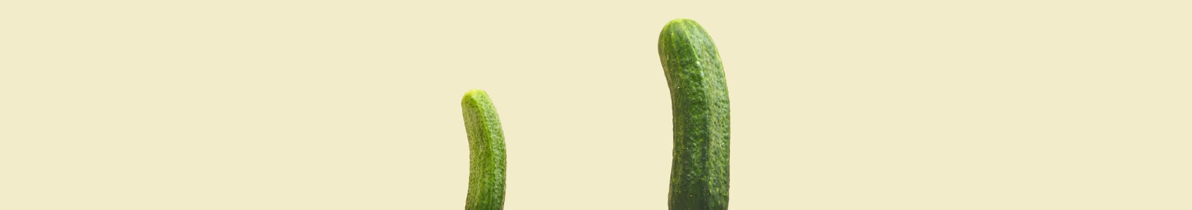 Before and after penis enlargement results by Dr. Elliot Heller