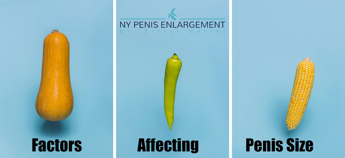 Factors That Can Affect Penis Size: Diet, Exercise, Age, etc. 